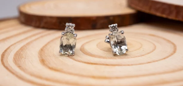 10092025-DSC08254 10092025-DSC08254