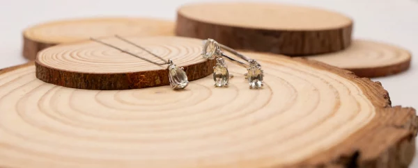 28102025-DSC00101 28102025-DSC00101