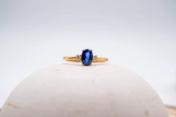 28102025-DSC00117 28102025-DSC00117