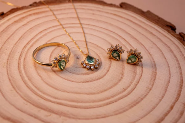 15072025-DSC06466 15072025-DSC06466