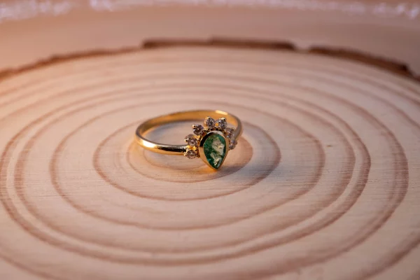 15072025-DSC06471 15072025-DSC06471