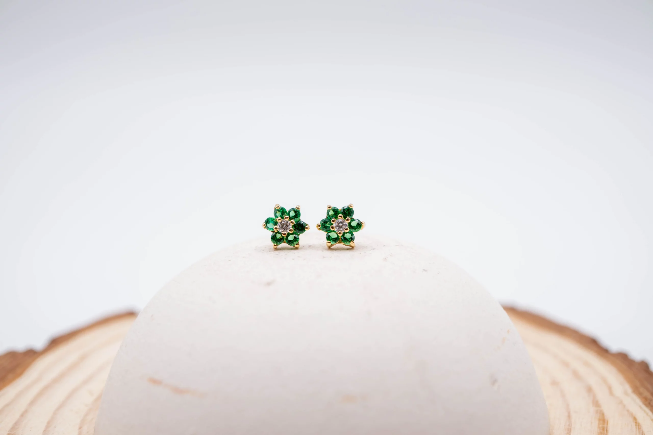 28102025-DSC00017 28102025-DSC00017