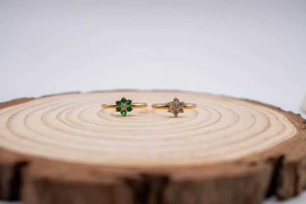 28102025-DSC00050 28102025-DSC00050