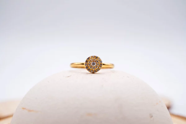 28102025-DSC00074 28102025-DSC00074