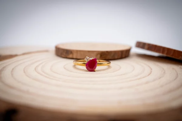 28102025-DSC00088 28102025-DSC00088