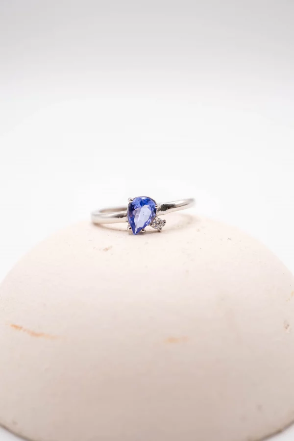 28102025-DSC09959 28102025-DSC09959