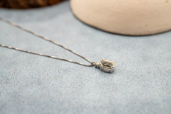 28102025-DSC09994 28102025-DSC09994